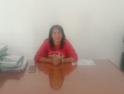 Dinas Pertanian,tanaman pangan dan perkebunan Tana Toraja Dapat Bantuan Peremajaan Kakao Seluas 800 Hektar .